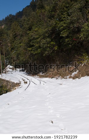 picture of snow caped tracks in winter season and beautiful view.