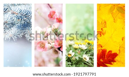 Four seasons of year. Set of vertical nature banners with winter, spring, summer and autumn scenes. Copy space for text Royalty-Free Stock Photo #1921797791