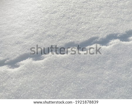 Snow texture with animal or bird legs. footprints on white snow. High quality photo