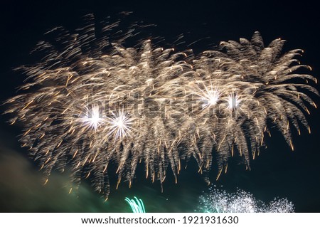 Beautiful japanese fireworks in Düsseldorf