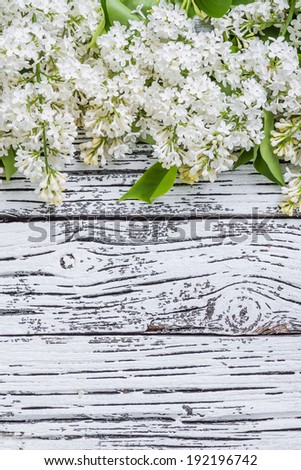 Lilac flowers on rustic background