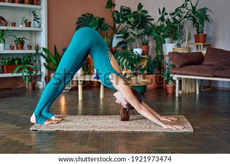 Young sporty woman practicing yoga standing in downward facing dog asana ( adho mukha svanasana pose) at home. Wellness and healthy lifestyle