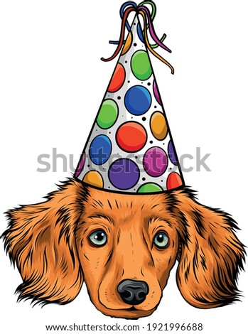 A cute little puppy with party hat