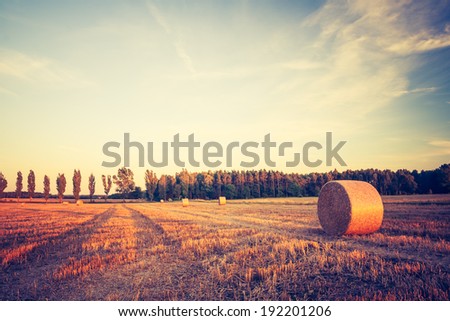 vintage photo of straw bales on field. rural landscape
