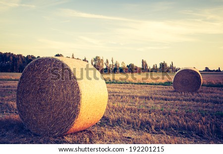 vintage photo of straw bales on field. rural landscape