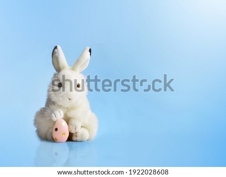 White Easter bunny rabbit with pink painted egg on blue background. Easter holiday concept.