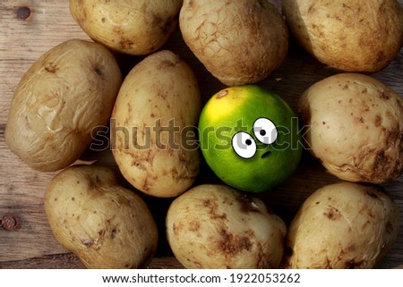 a misplaced cute lime character in the bunch of potatoes, nature art