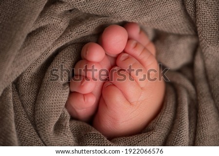 legs and toes of a newborn in a soft blanket 