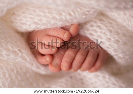 legs and toes of a newborn in a soft white blanket 