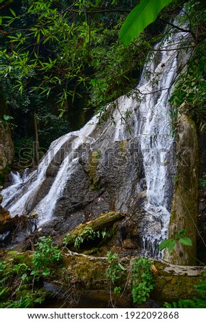 Mai Kai Waterfall, Mae Hong Son Province, Thailand, Asia Falling in beautiful limestone layers, fresh green forests, blurred leaves from the blowing of the wind Selective Focus