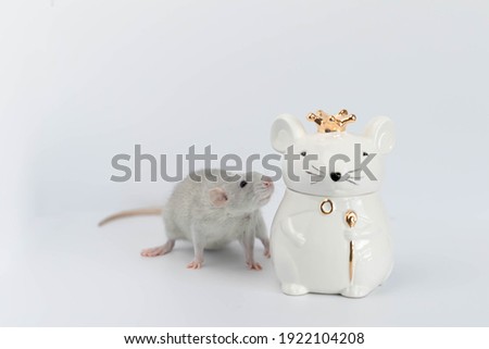 A decorative grey cute rat stands next to a porcelain figurine in the shape of a rat wearing a royal golden crown