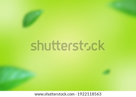 Fresh Color Background Green and leaf mint