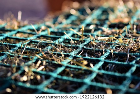 Close up of hay under a green hay net