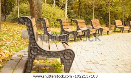 Wooden benches, wrought iron benches, park, forest, walk, rest, autumn, October, November, September, relax, emptiness, loneliness, longing, dream, romance, city park, autumn city, tourism, walk