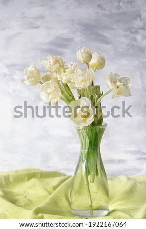 Bouquet of white tulip flowers on a light background. Delicate light still life with spring summer mood.