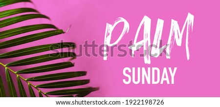 Palm sunday in holy day.Palm branch on the sky in palm sunday word for welcome Jesus in Jerusalem.Hosanna, Lent day, worship, Christian background.easter, Good friday.Copy space.Religion background.