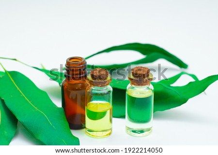 Eucalyptus essential oils with white background.