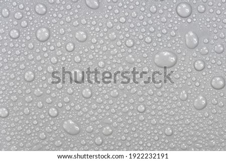 Water drops on white background texture. backdrop glass covered with drops of water.  bubbles in water Royalty-Free Stock Photo #1922232191
