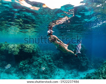 Young woman snorkeling at coral reef in tropical sea Royalty-Free Stock Photo #1922237486