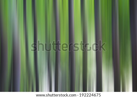 abstract forest in motion blur