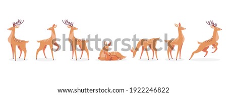 Cartoon deer set. Male horny, female, baby fawn spotted reindeers in different poses isolated on white. Vector illustrations for wildlife, animals family, forest fauna concept Royalty-Free Stock Photo #1922246822