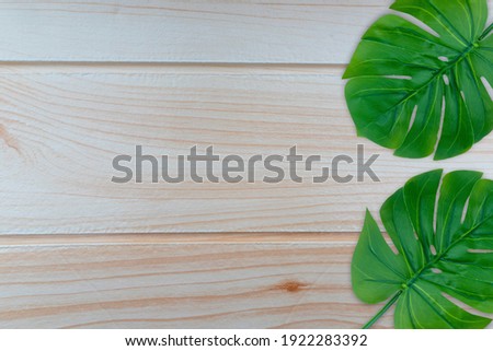 Monstera leaves summer on wooden background. Copy space concept and top view