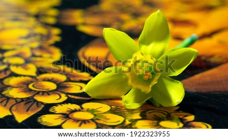 narcissus flower on a picture of calendula flower