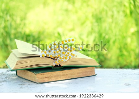chamomile flowers bouqet and old books on table in garden, natural background. composition with books in rustic style. concept of reading, relaxation. summer season. template for design