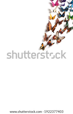 a flock of colorful butterflies isolated on a white background, a blank for the designer, a place for text, copyspace