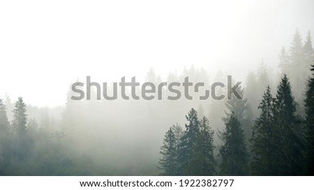 Foggy mountain landscape with fir forest. Royalty-Free Stock Photo #1922382797