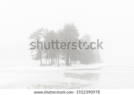 View of frozen lake, trees silhouette in the fog, winter landscape, Sognsvann, Norway