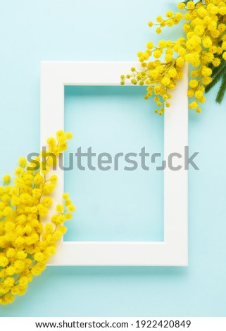 White frame with mimosa flowers on a blue background. Spring concept. Top view, copy space for text.