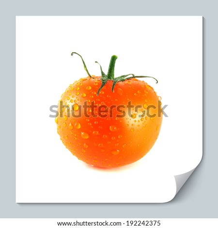 Fresh orange ripe tomato. Isolated on a white background.