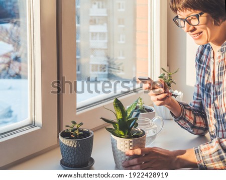 Woman takes pictures of succulent plants with smartphone. Flower pots on window sill. Sansevieria, Crassula. Peaceful botanical hobby. Gardening at home. Winter sunset.