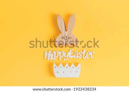 Creative photo of easter bunny on colorful background