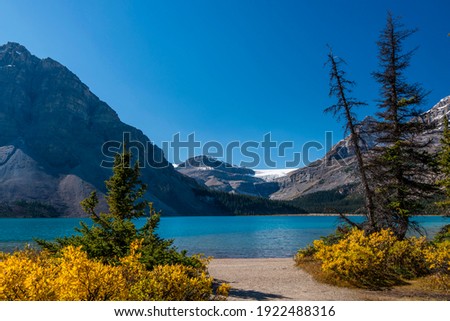 Glacial lake Bow Lake, behind Bow Glacier, Banff National Park, Canadian Rockies, Alberta Province, Canada