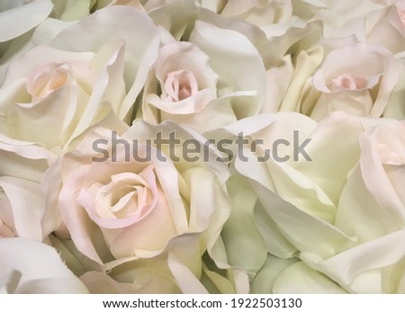 Close up shot of a beautiful white flower bouquet