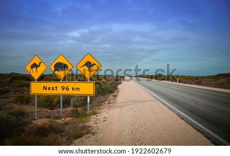Camel, Roo and Wombat Sign. A classic scene when driving in the outback in Australia warning of Camels, Kangaroos and Wombats crossing the road.
