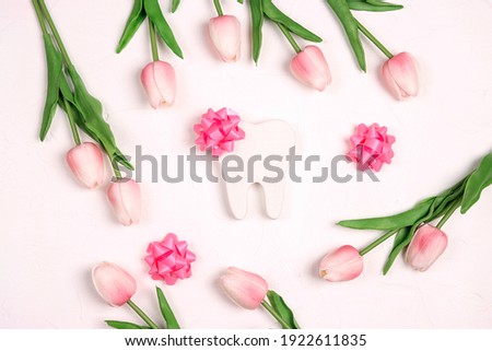 Festive dental background with tooth, bows and pink tulips on a white background with copy space for text. Happy Dentist's Day concept .