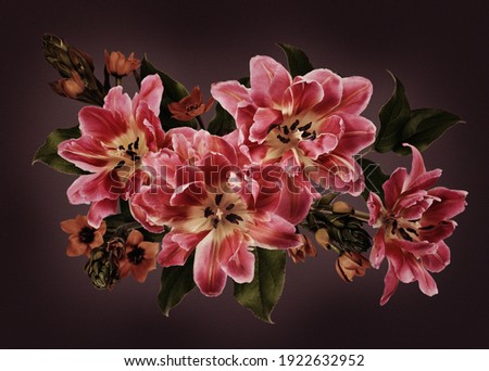 Pink tulips and ornithogalum flowers in a floral arrangement on dark background