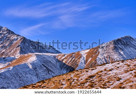 Majestic mountains with alpine meadows overgrown with junipers against a blue sky with clouds