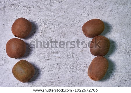 Group of six kiwis on a stone floor. Circle shape, free space, front view