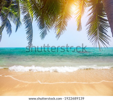Green leaves of  Palm tree and tropical beach Royalty-Free Stock Photo #1922689139