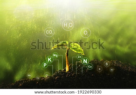 Fertilization and the role of nutrients in plant life with digital mineral nutrients. Seedlings are exuberant from abundant loamy soils.  Royalty-Free Stock Photo #1922690330