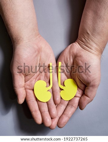 Yellow Paper Human kidney Symbol in Human Hands on Gray Background