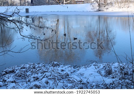 a silent lake in winter
