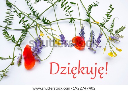 dziekuje- thank you written in polish language and composition of wild field flowers  Royalty-Free Stock Photo #1922747402