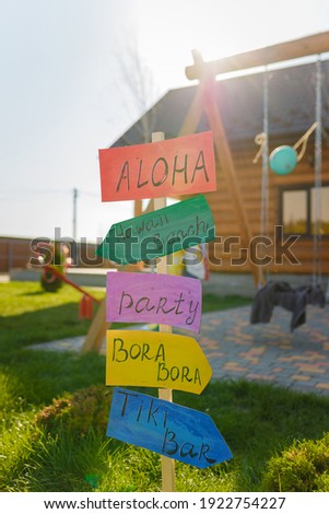 Decorative pointer for outdoors Hawaii theme birthday party, vertical shot