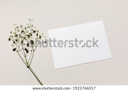 Mockup with blank paper sheet card and white small flowers over beige pastel background with trendy shadow and sunlight. Minimal business brand template. Flat lay, top view