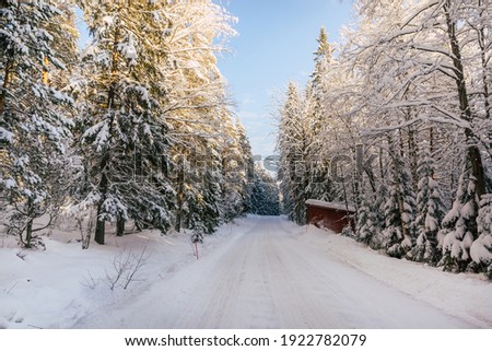 Beautiful winter landscape with snowy trees in Lapland, Finland. Frozen forest in winter. Trees covered by ice and snow in Scandinavia